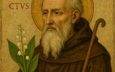 Est-ce que les moines bénédictins de l’abbaye St Martin de Savigny offrait du muguet à l’abbé chaque 1er mai ?