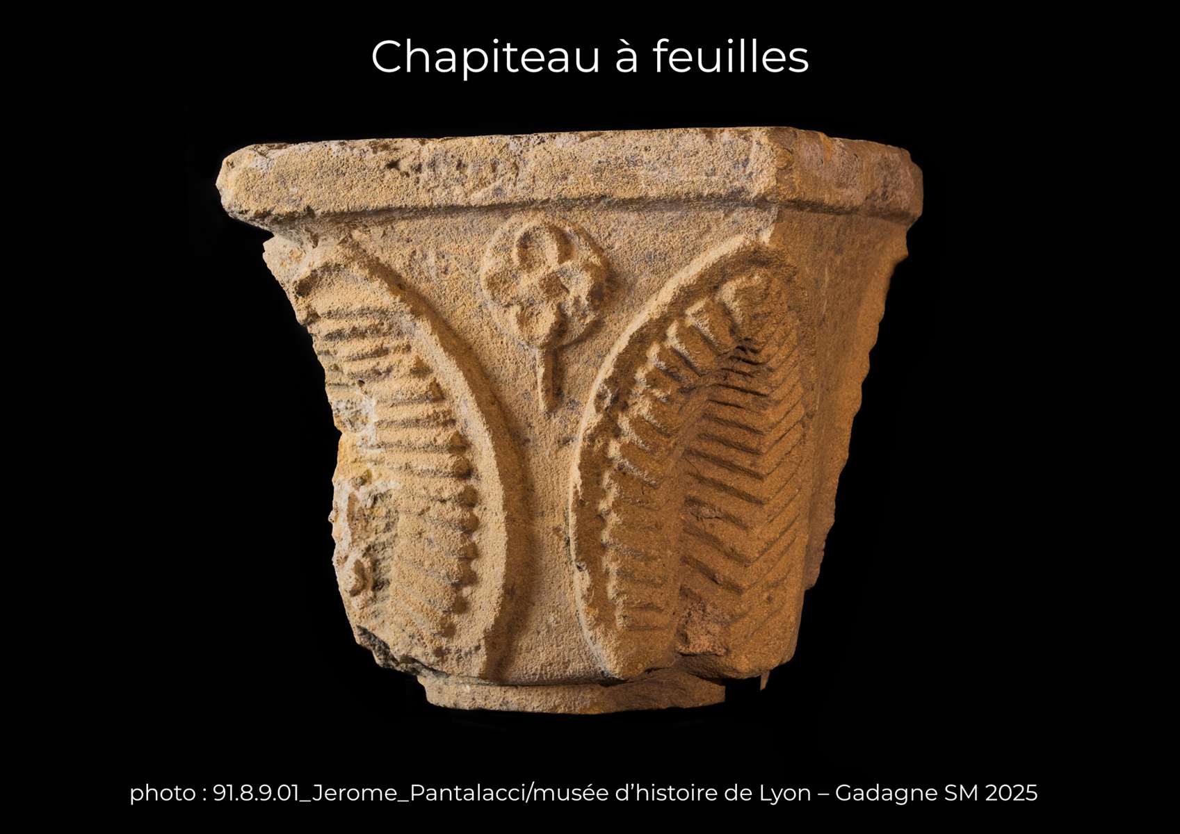 Chapiteau à feuilles 91.8.9.1