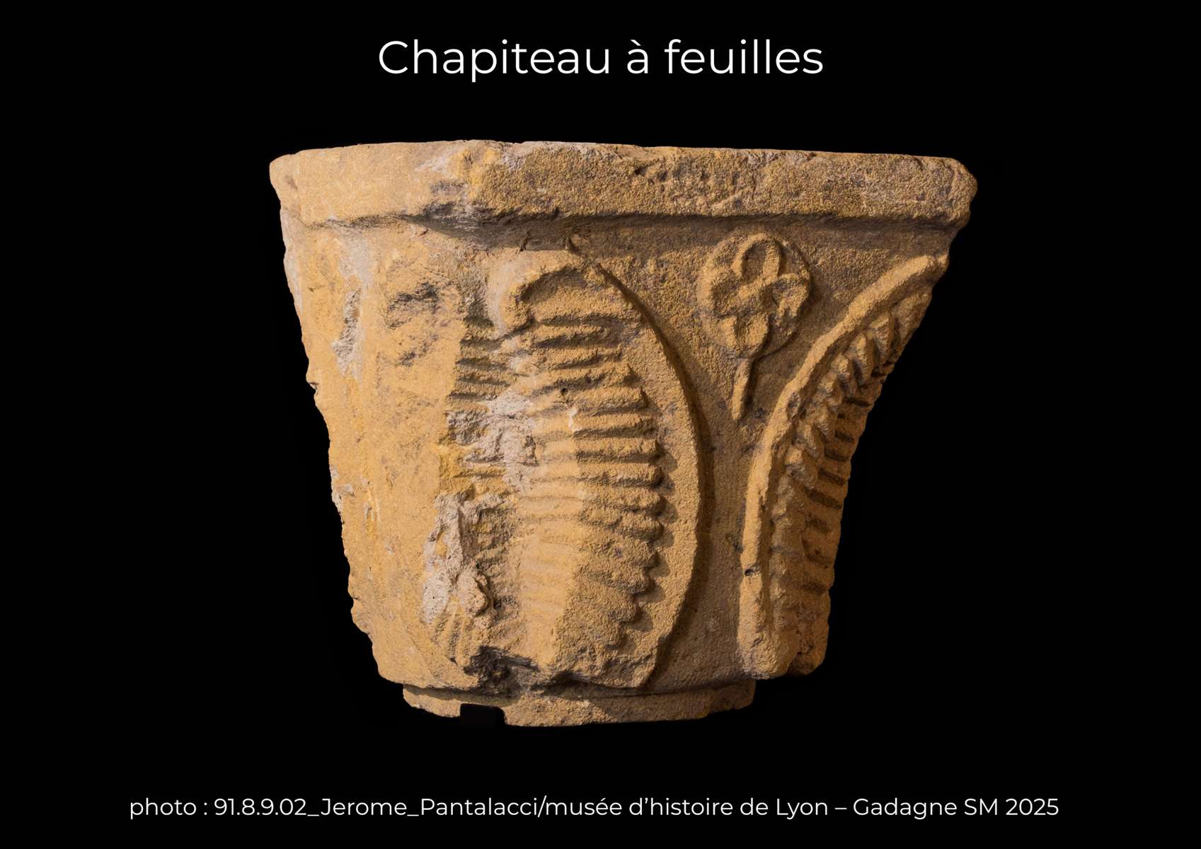 Chapiteau à feuilles 91.8.9.2