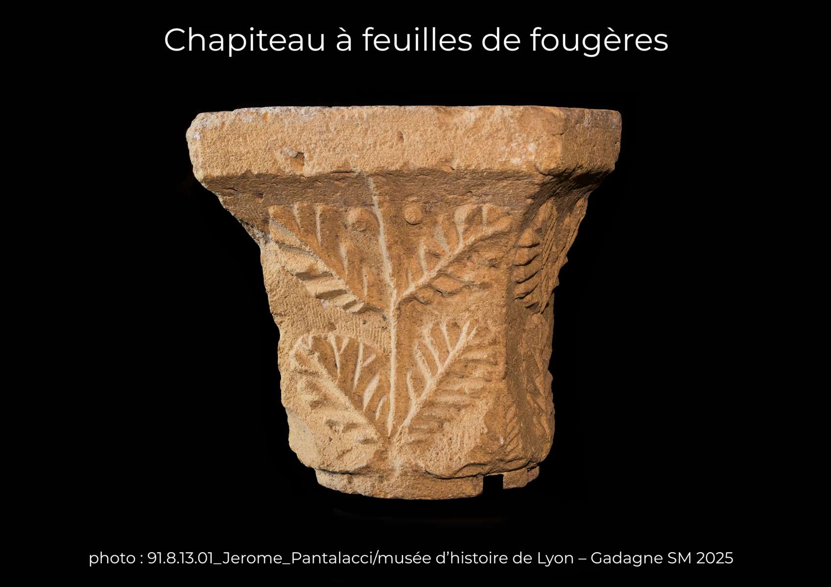 Chapiteau à feuilles de fougères 91.8.13.01