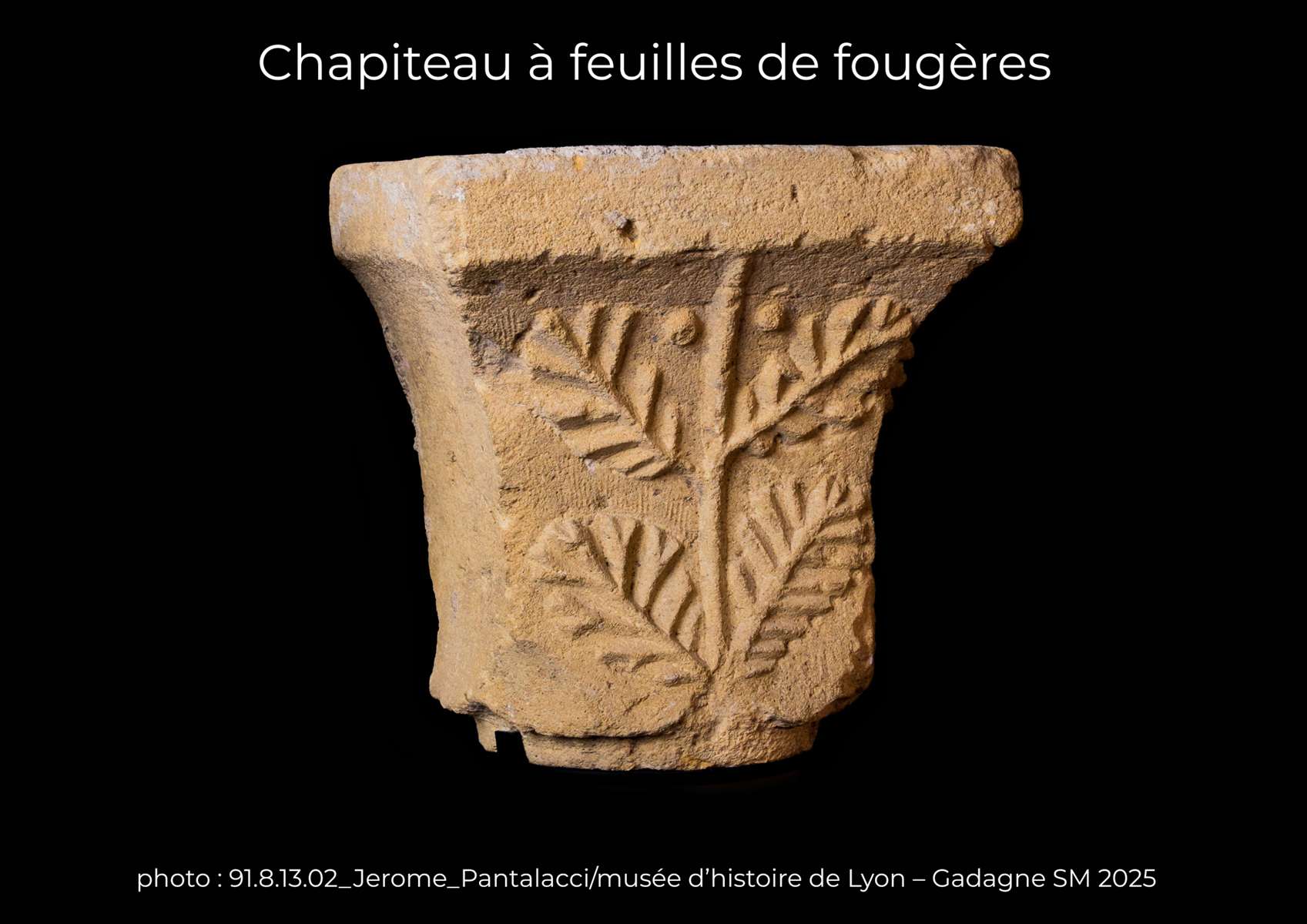 Chapiteau à feuilles de fougères 91.8.13.02
