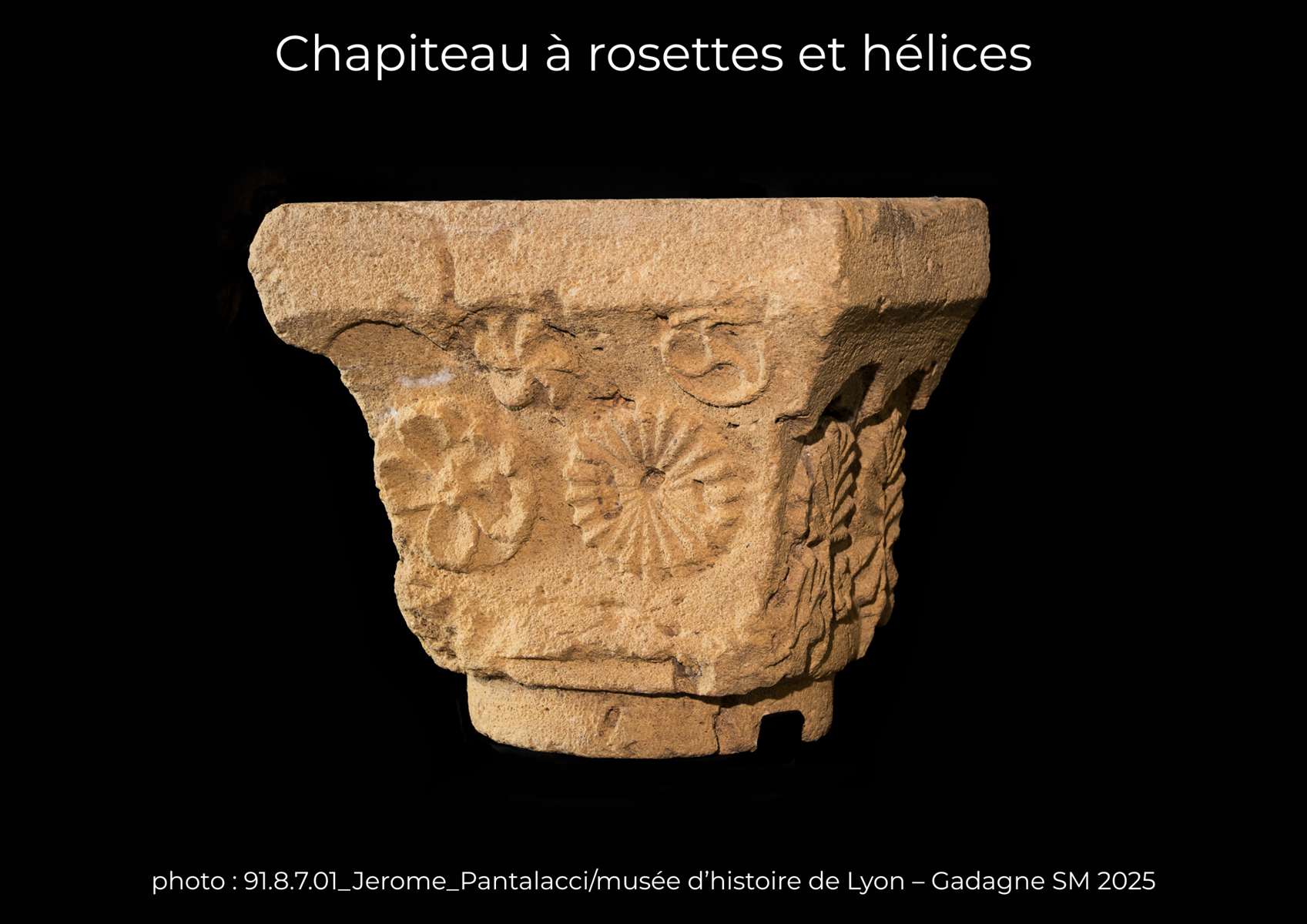 Chapiteau à rosettes et hélices 91.8.7.1