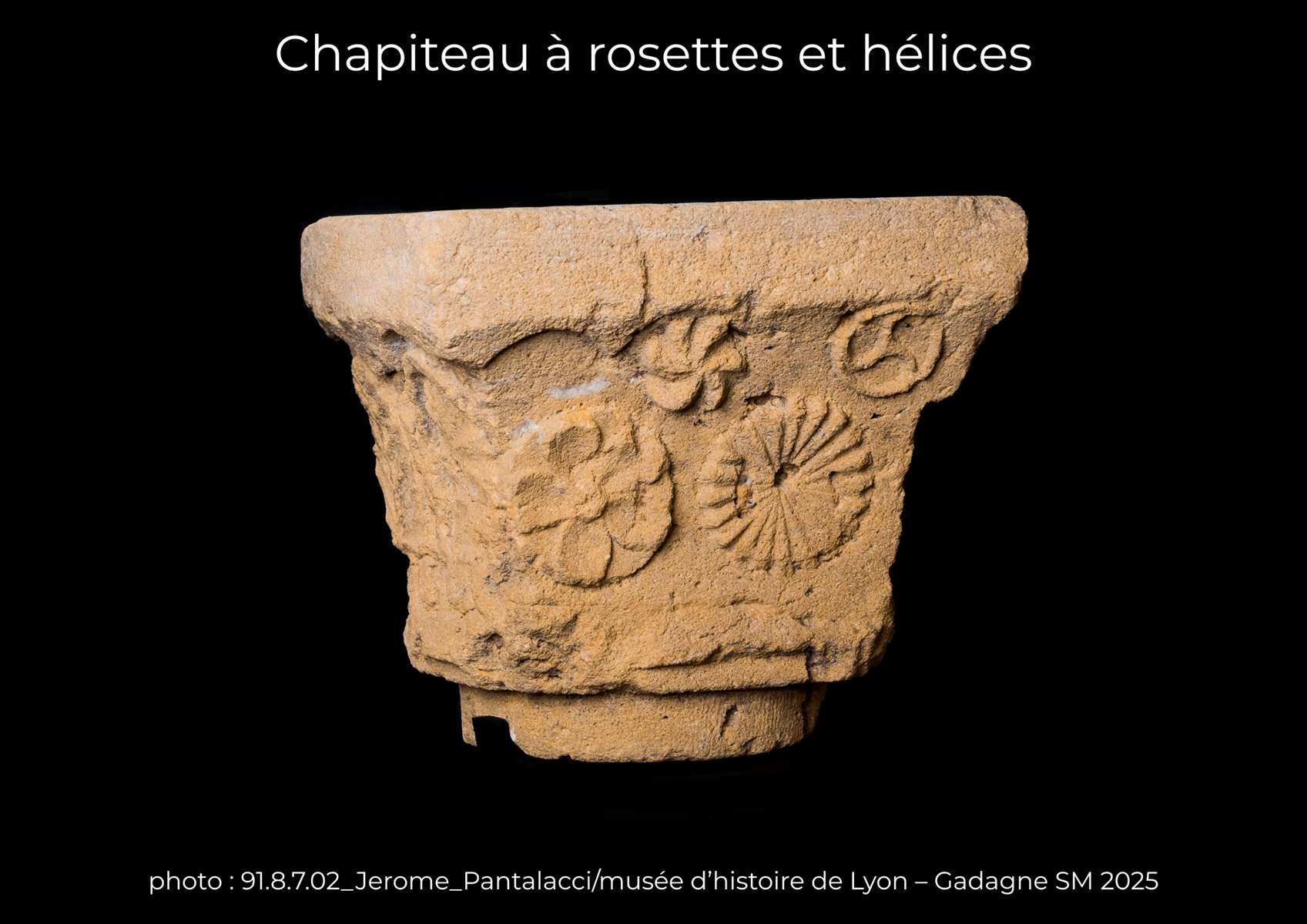 Chapiteau à rosettes et hélices 91.8.7.2