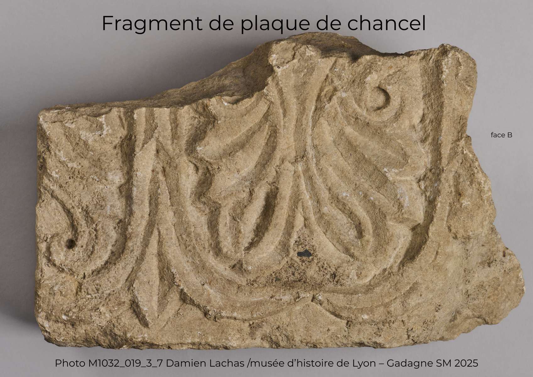 Photo M1032 019 3 7 (1)